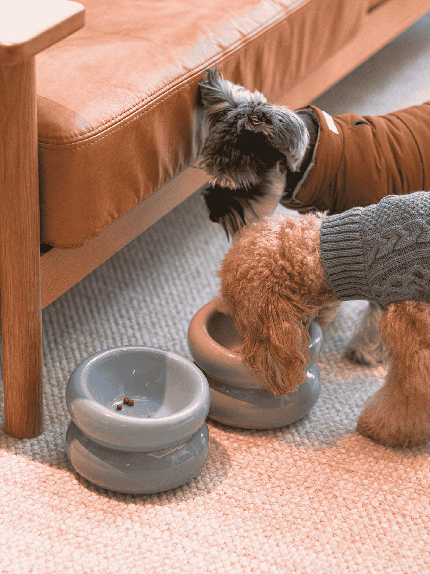 Ergonomic Pet Bowl – Frozen Blue (Anti-Slip, Easy-Clean)